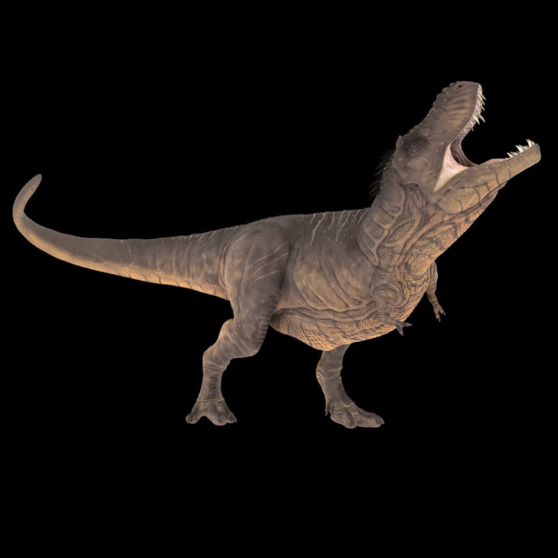 Tyrannosaurus Rex